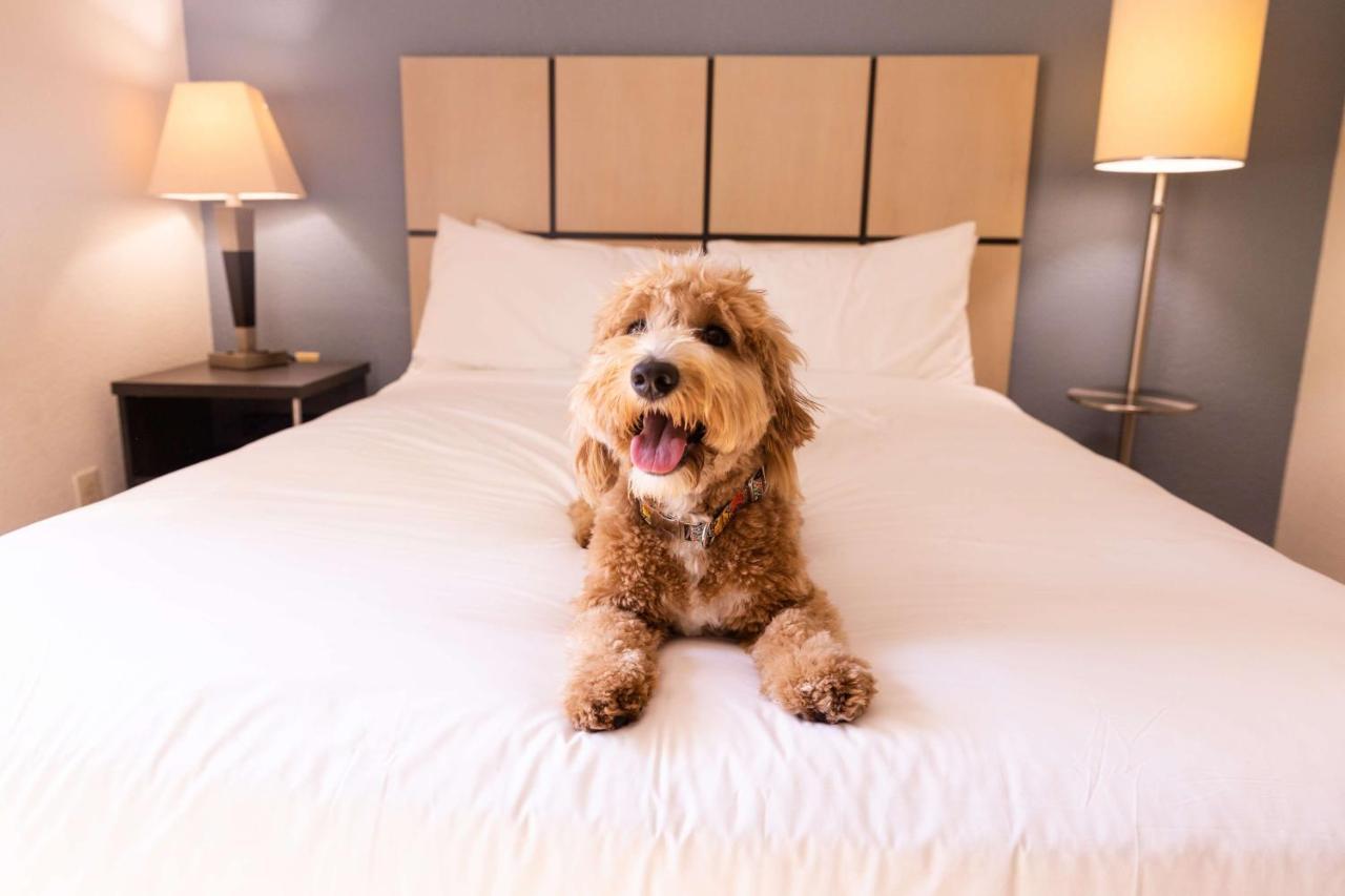 Sonesta Simply Suites Hampton Eksteriør bilde